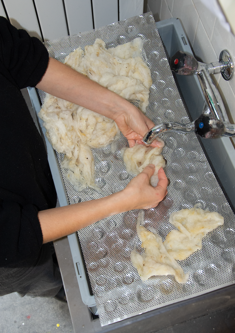 Every state of the wool has its own unique proper ties. Washing out vegetable matter and removing the lanolin alters how the fibers behave. Image: Tjard Tensfeldt