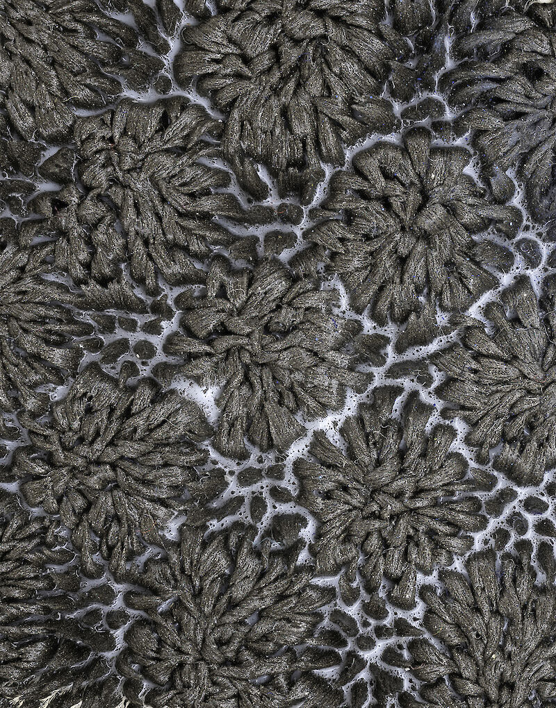 Magnetic Carpet. Image Credits: Nadya Suvorova