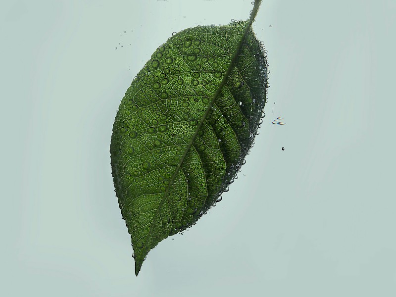Autargo – O2- und Stromgenerator