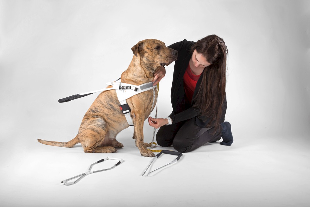 Sam: Führgeschirr für Blindenhunde