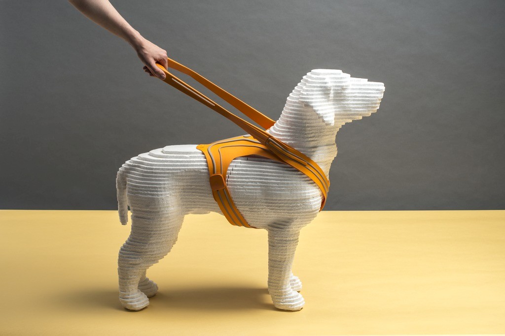 Sam: Führgeschirr für Blindenhunde