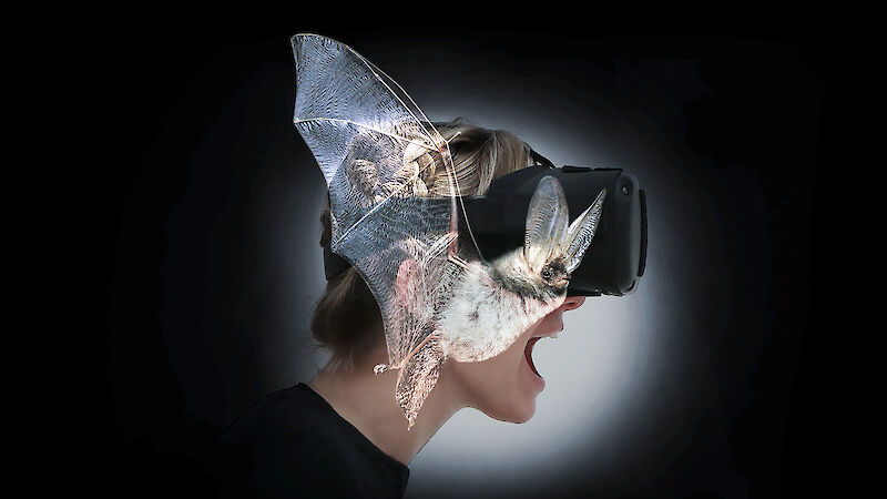 BATVISION - Erlebe die Welt als Fledermaus