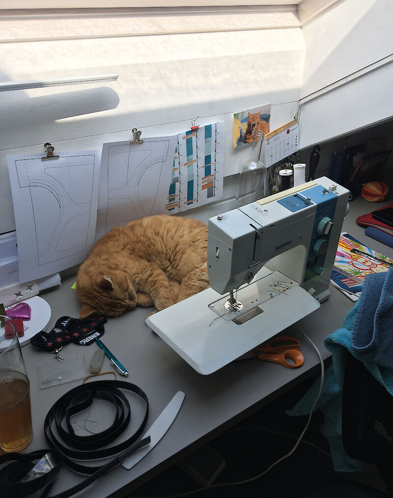 Stefanie Keller (BA): " Im Homeoffice arbeitete ich viel an der Nähmaschine, um die Prototypen für die Bachelorarbeit anzufertigen. Meine Katze hat mich während des gesamten Arbeitsprozesses begleitet, indem sie sich immer einen Platz inmitten des Geschehens ausgesucht hat."