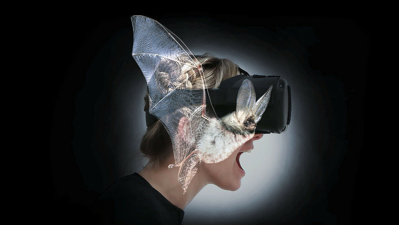 Gebert Rüf Stiftung fördert Diplomprojekt «Batvision»