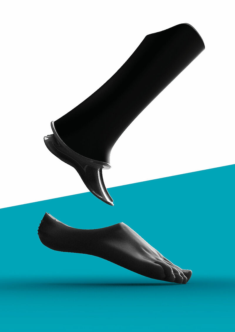 Long Limbs Prosthetics
