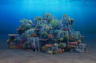 Bewohnt: Tower und Bridge Module bilden einen neuen Lebensraum für die marine Flora und Fauna.