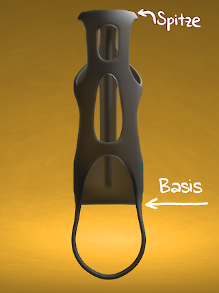 Drei vertikale Elemente sorgen für die Stabilität des Phallus. Sie reichen von der Spitze zur Basis.