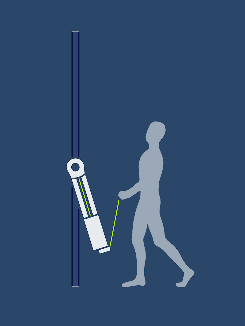 Bizepscurl: isoliertes Training des Oberarms
