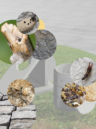 Anwohner:innen können die Erweiterung des Lebensraums von Insekten in der Stadt wesentlich mit unterstützen.