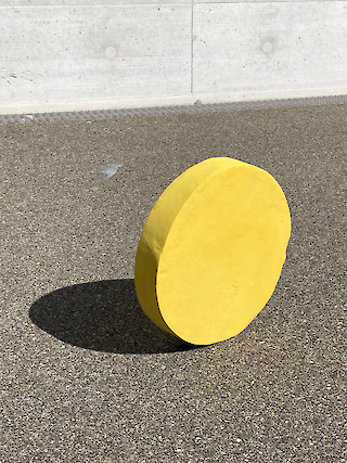 Die Signalfarbe Gelb lockt Insekten und Menschen an.