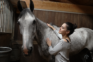 Die Beziehung zwischen Mensch und Pferd findet im Sattel eine physische Form.