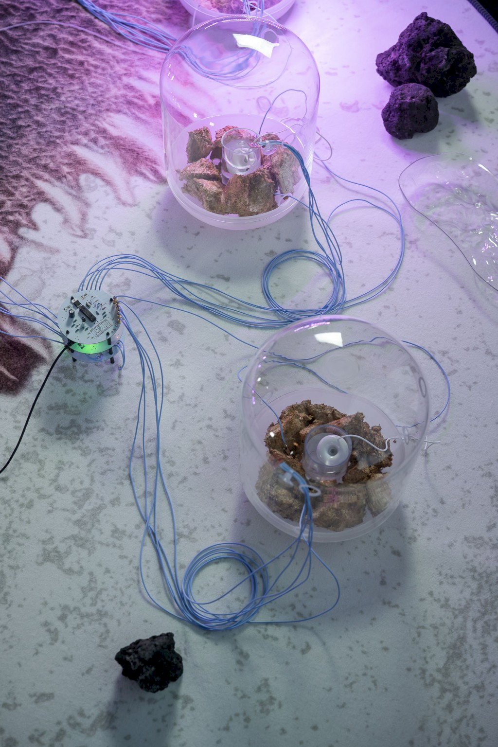 Johanna Schmeer, The Outside Inside, 2019