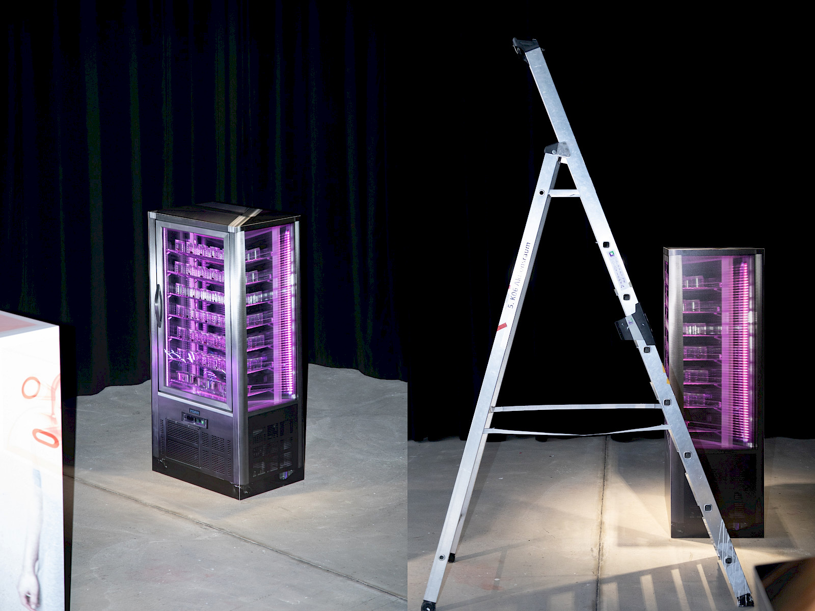 The Outside Inside by Johanna Schmeer