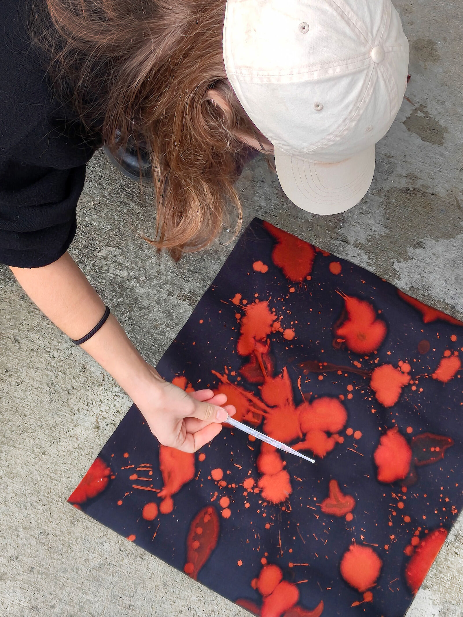 Experiments on how visual variations shift perceptions of pigeon excrements