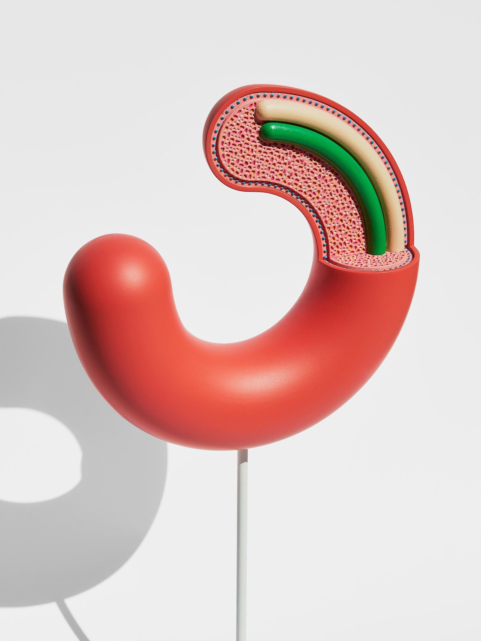 The Sausage of the Future, Anatomical model of Bangers and Mash. Photo by Younes Klouche.