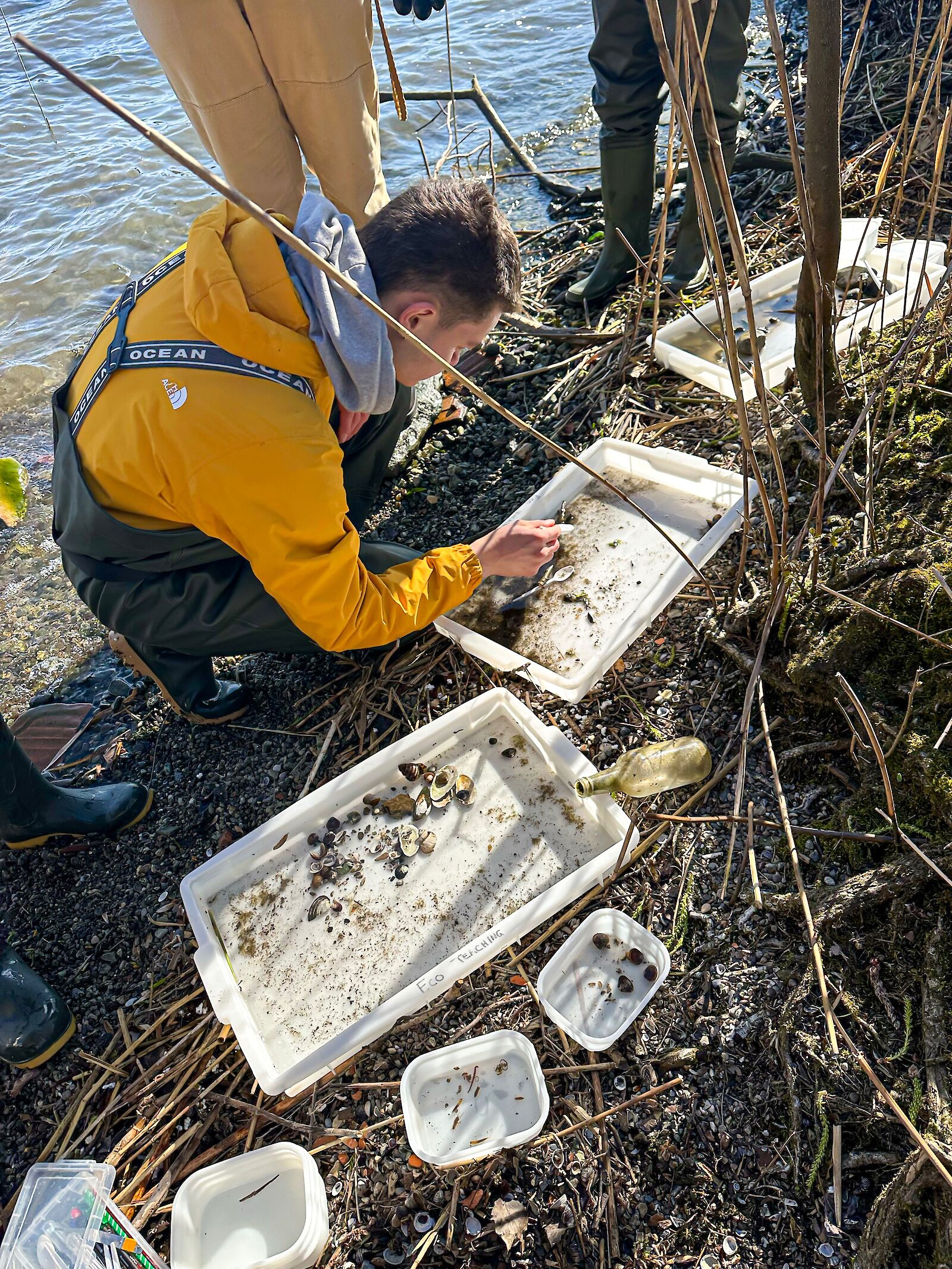 Art-Science collaborations in Water Research and beyond